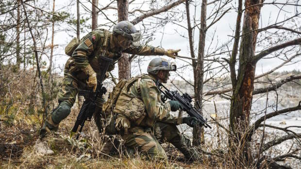 Норвегия отправила двух военных в Гренландию на фоне заявлений Трампа