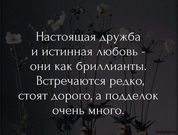 Сильные цитаты о настоящей дружбе, которые перевернут ваше сознание