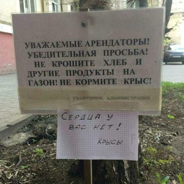 ZtVO4l3EwjE.jpg