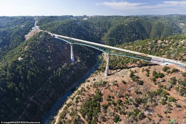 Из-за селфи женщина упала с самого высокого в Калифорнии моста — но любителей риска это не останавливает люди, мост, селфи