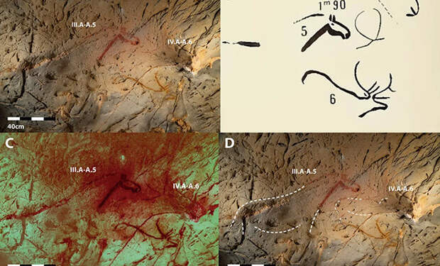 трехмерные рисунки в пещере Ла-Пасьега