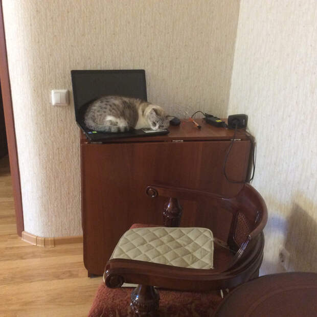 Kq3-uivGRH0 (700x700, 408Kb)