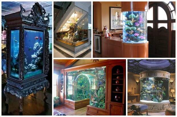 Мебель, стены и прочие места для шикарных аквариумов Фабрика идей, аквариумы, виды, красота, невероятно, фантазия