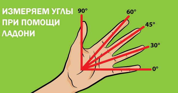 11 крайне полезных трюков, которым только некоторых из нас научили в школе