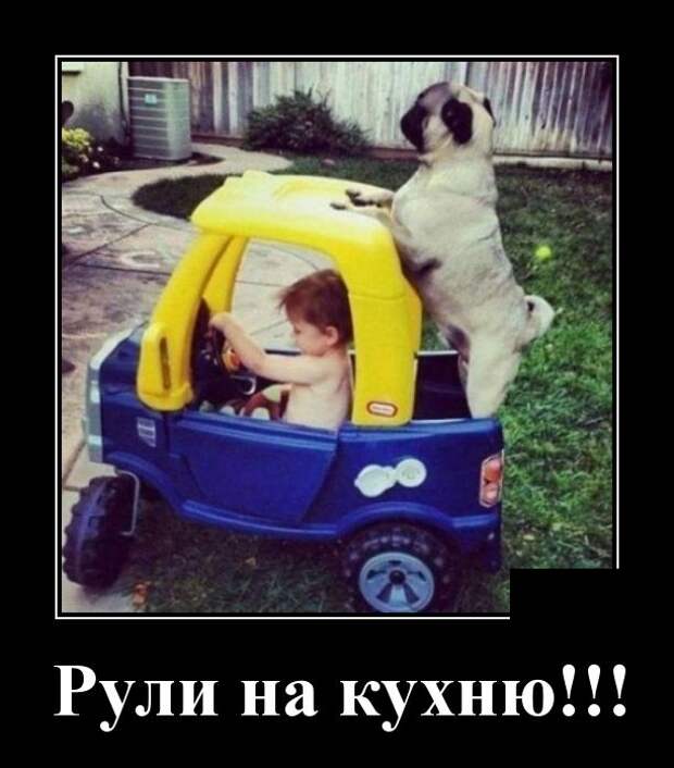 www.vsyako.net