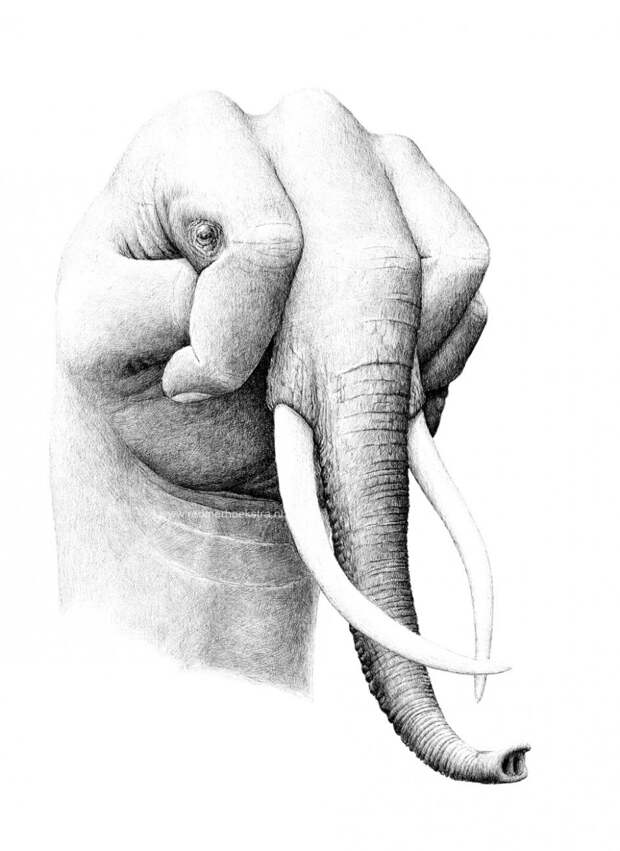 e621c758371803.59f9cd32487cd.jpg e621c758371803.59f9cd32487cd.jpg