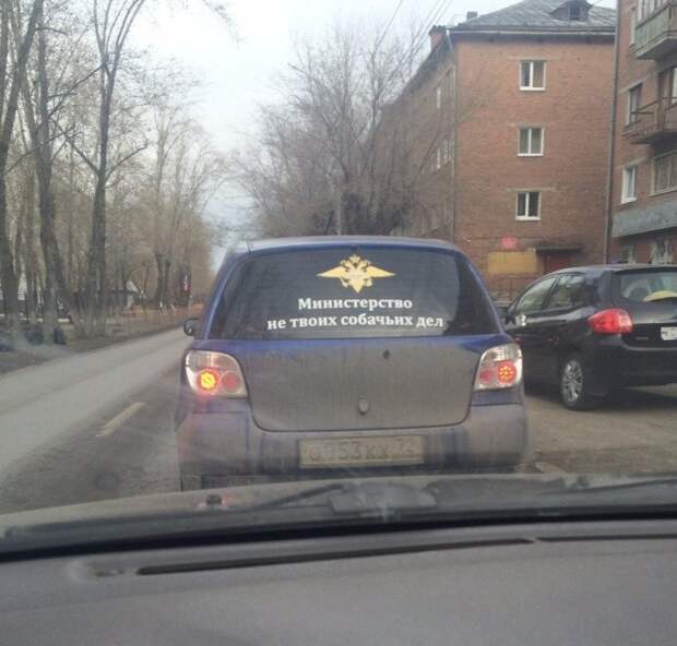 Прикольные объявления объявления, прикол, юмор