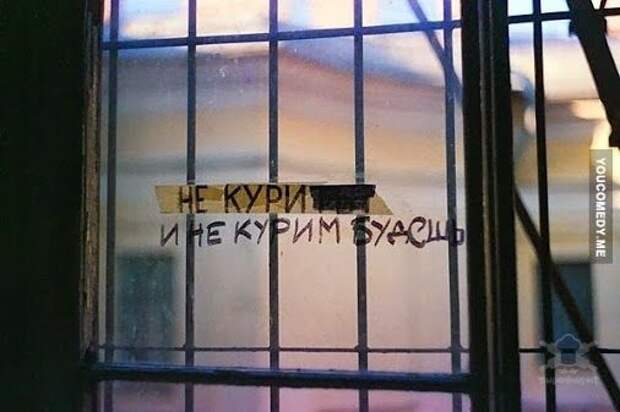Смешные надписи и объявления надписи, объявления, смешные, юмор