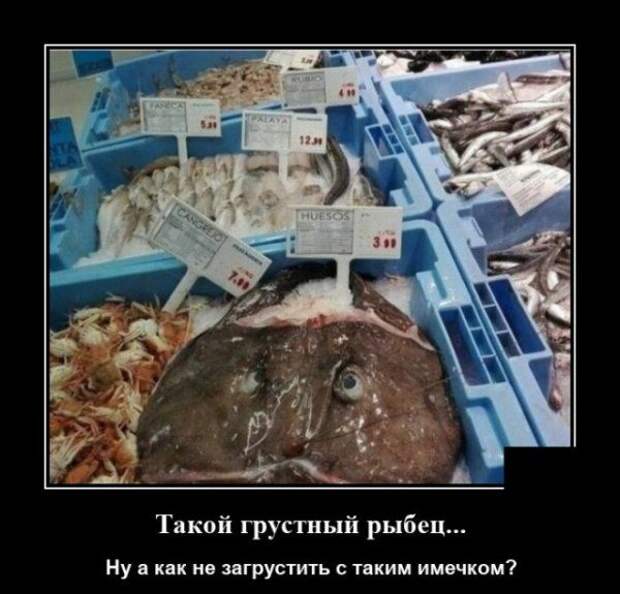 demotivatory-demotivator-smeshnye-demotivatory-demotivator-so-smyslom
