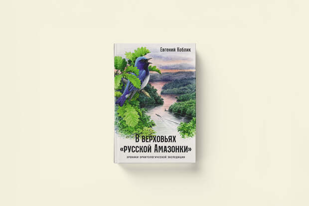 В верховьях русской Амазонки: отрывок из книги об экспедиции на Дальний Восток