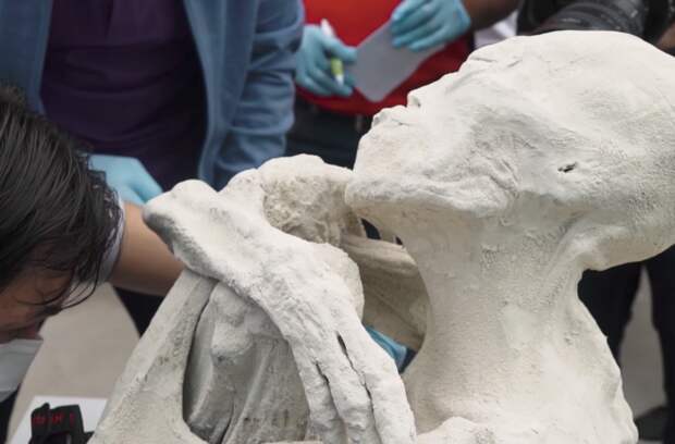 Исследователи откопали мумию перуанского пришельца археологи, в мире, люди, мумия, находка, пришелец, раскопки
