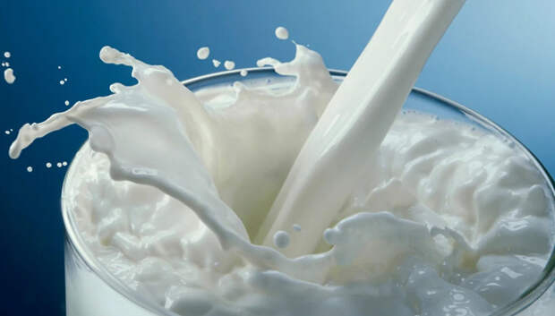 В Подольске увеличат число точек продажи молока местной агрофермы