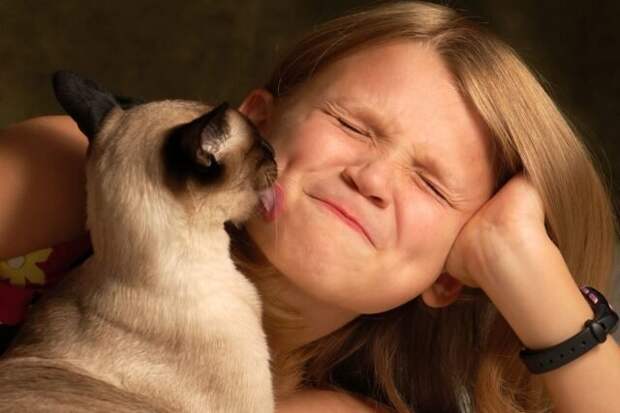Если кот действительно к вам небезразличен, он может начать помогать вам «мыться». © thecatsite    