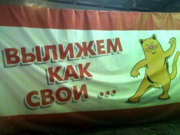 Наверное сложно пройти мимо Наверное сложно пройти мимо авторы, надписи, объявления, сократили, убойные, ценники
