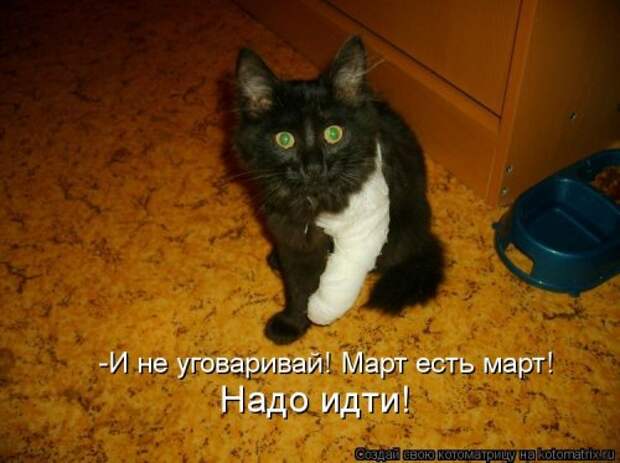 Новый сборник свежих котоматриц (30 шт)