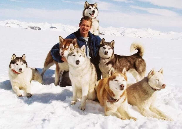 Любимые фильмы с новой стороны: 17 фотографий со съёмок
