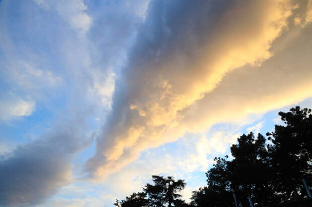 "У пилотов не было ни секунды": эксперт - о факторах, которые могли привести к крушению самолета Ан-26 в Крыму