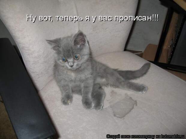 Мысли вслух :)