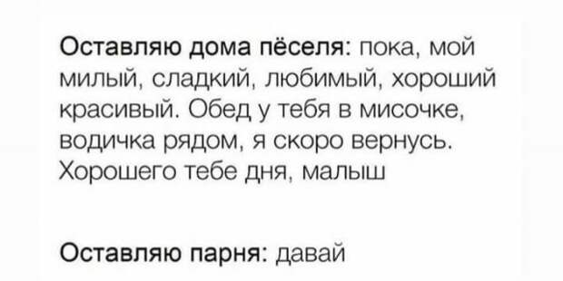 Прикол про животных