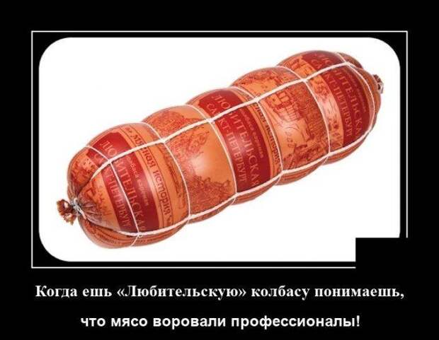 demotivatory-demotivator-smeshnye-demotivatory-demotivator-so-smyslom