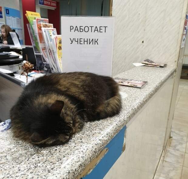 www.vsyako.net