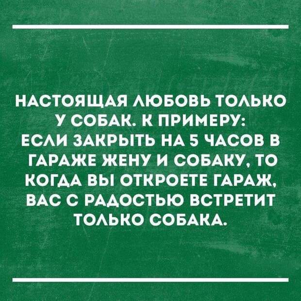 Смешные и жизненные анекдоты, которые точно заставят вас хохотать