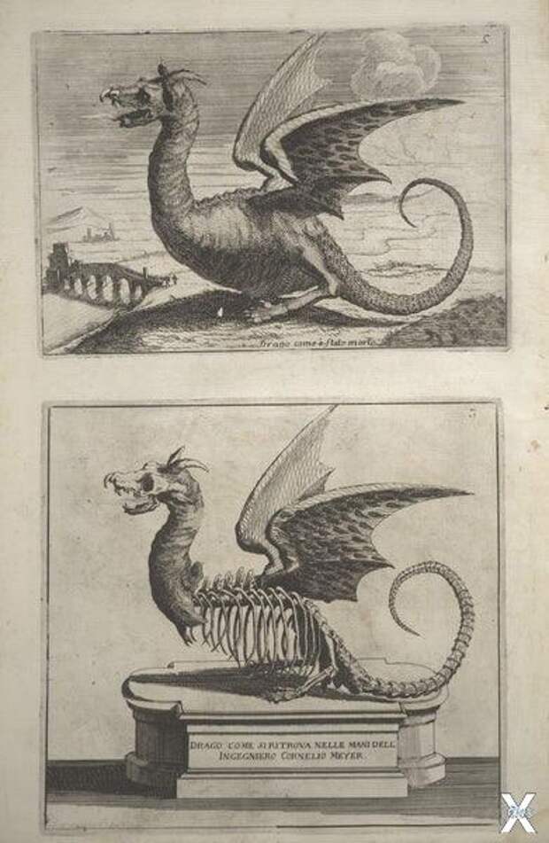 Гравюра «дракона из Рима»