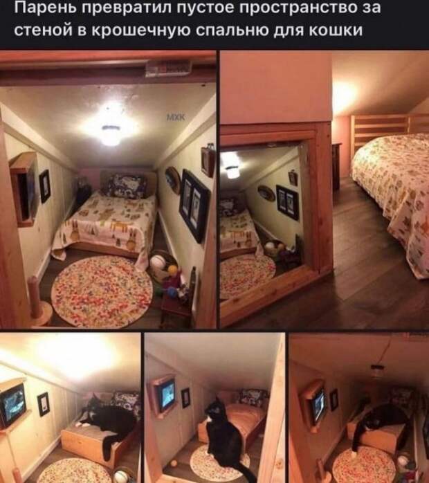 Так себе картинки