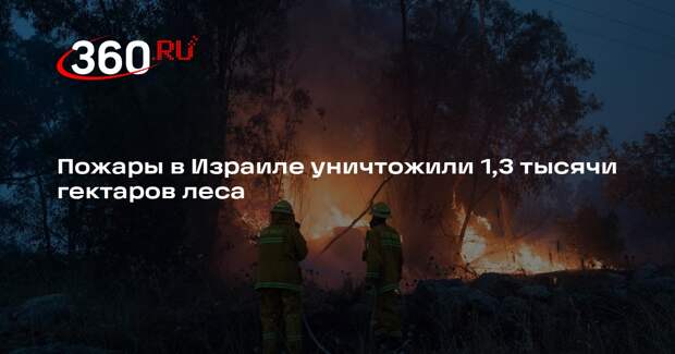 Пожары в Израиле уничтожили 1,3 тысячи гектаров леса