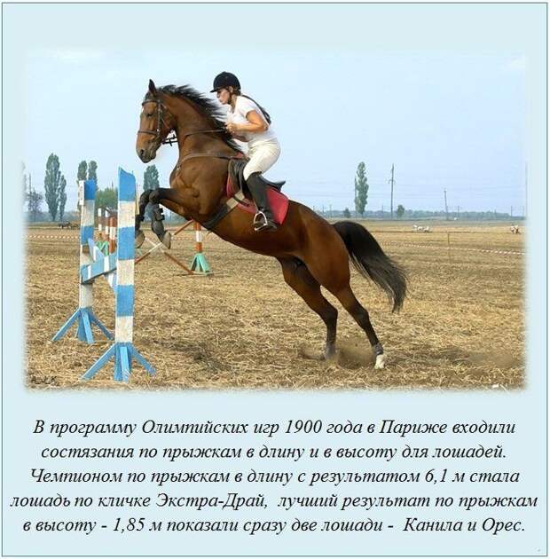 Интересные факты в картинках демотиваторы, история, факты