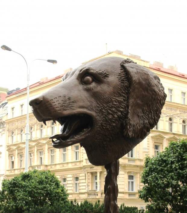 Aj_Wej-wej_Zvěrokruh_Dog_Praha_2016_1.jpg Aj_Wej-wej_Zvěrokruh_Dog_Praha_2016_1.jpg