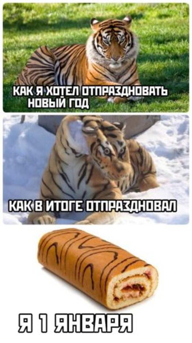 Юморные картинки