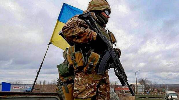 Главарь батальона «Донбасс» придумал, как заставить Зеленского нарушить перемирие | Русская весна