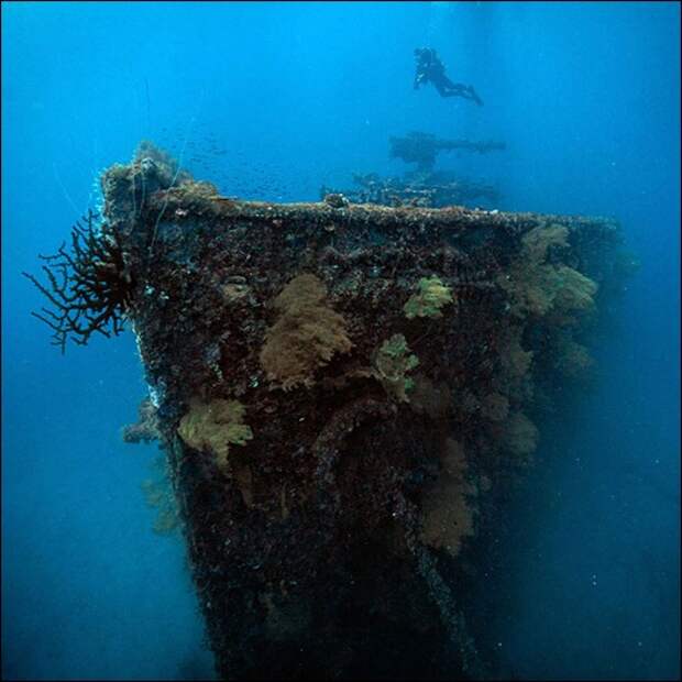 33