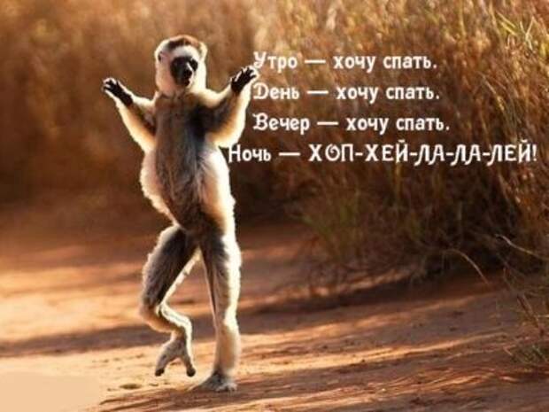 Юморные картинки