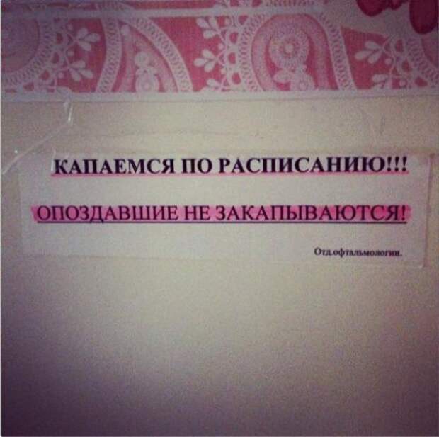 Маразмы месяца
