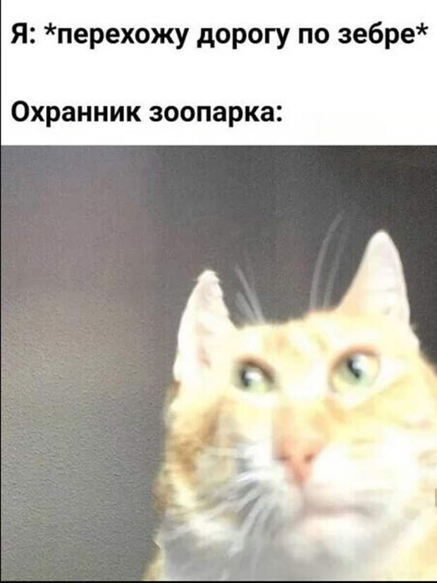 5. Встречайте, черные шутки за 300 5. Встречайте, черные шутки за 300