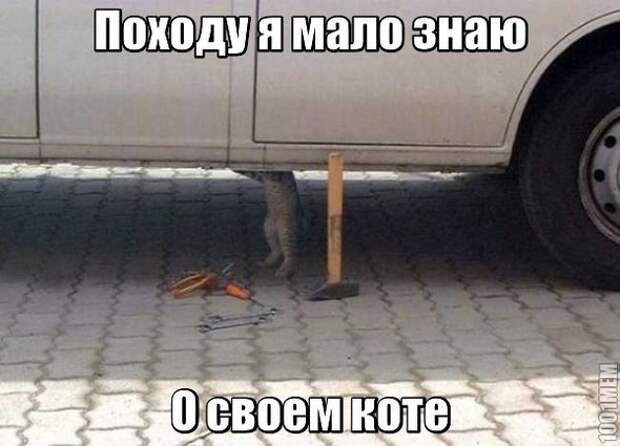 LWqFAvy0nh4