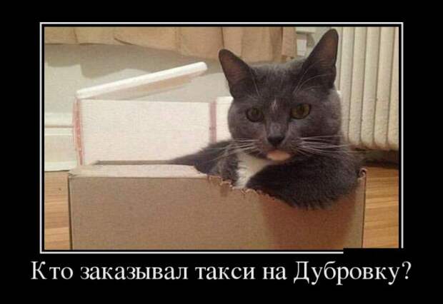 Демотиваторы (30 фото)