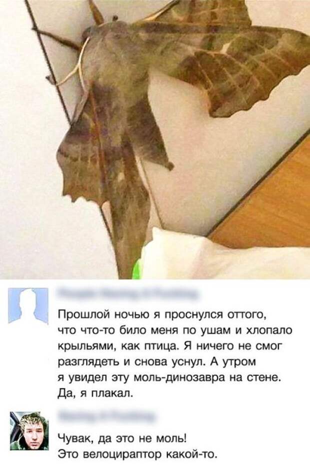 Юмор из социальных сетей (22 скриншота)