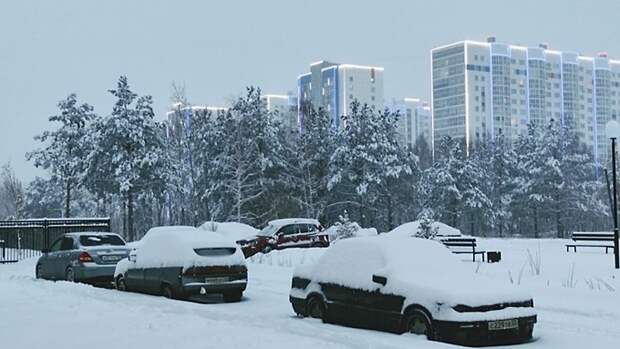 До +2 и мокрый снег. О погоде в Барнауле 9 ноября