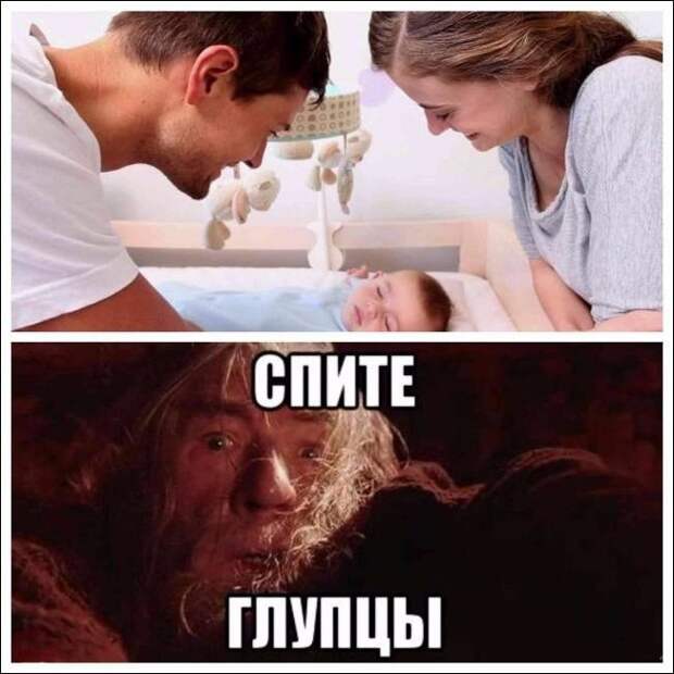 Прикольные картинки картинки из сети, прикол, юмор