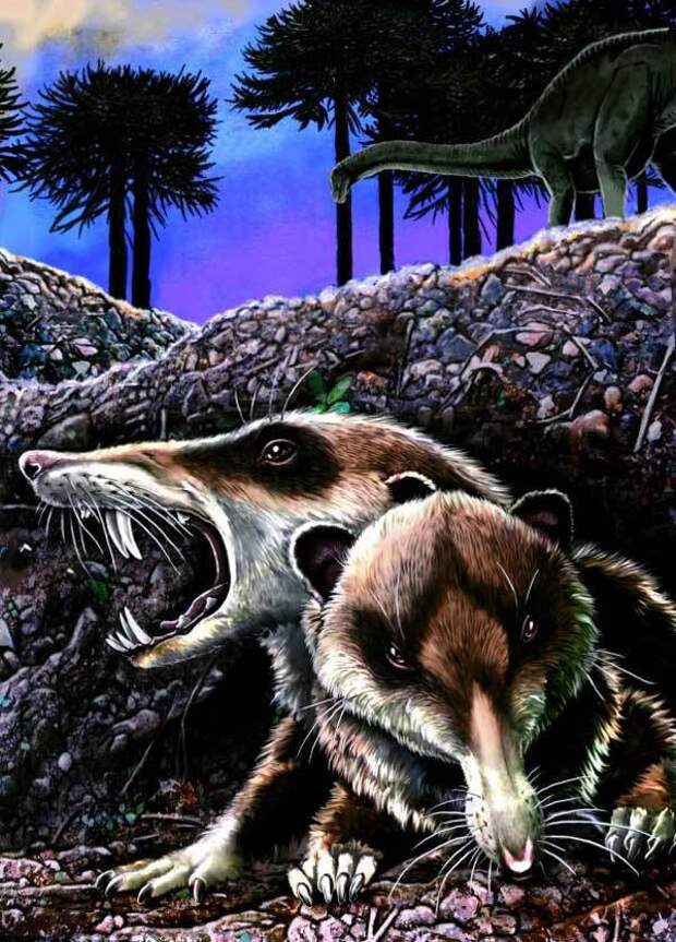 Мир после Динозавров, часть вторая: Хищники Интересное, познавательно, наука, кайнозой, постапокалипсис, млекопитающие, прошлое, палеонтология, длиннопост