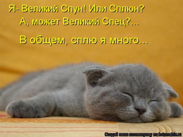 Котоматрицы (картинки с надписями)