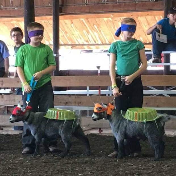 1470085189_75