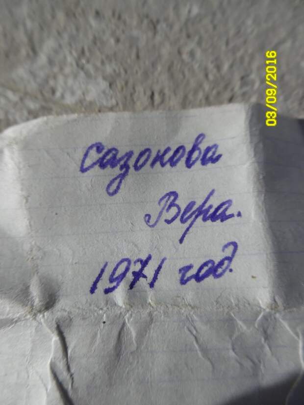 В Ленинградской области случайно нашли «капсулу времени» бутылка, капсула времени, письмо