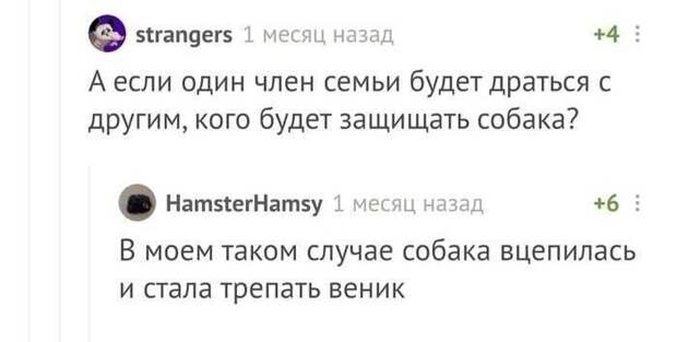 Настоящая дипломатия Настоящая дипломатия