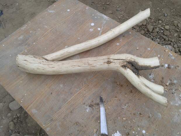 1. Нашел в лесочке подходящую корягу. Отпилил так как мое воображение подсказало. Приступил к ошкуриванию. Ветка сухая, старая, кора сходит с очень большим трудом. 1. Нашел в лесочке подходящую корягу. Отпилил так как мое воображение подсказало. Приступил к ошкуриванию. Ветка сухая, старая, кора сходит с очень большим трудом. животные, коты, своими руками, сделай сам