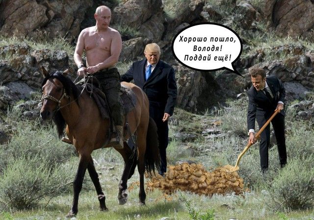 Сажающие дерево Трамп и Макрон стали героями фотожаб (41 фото)