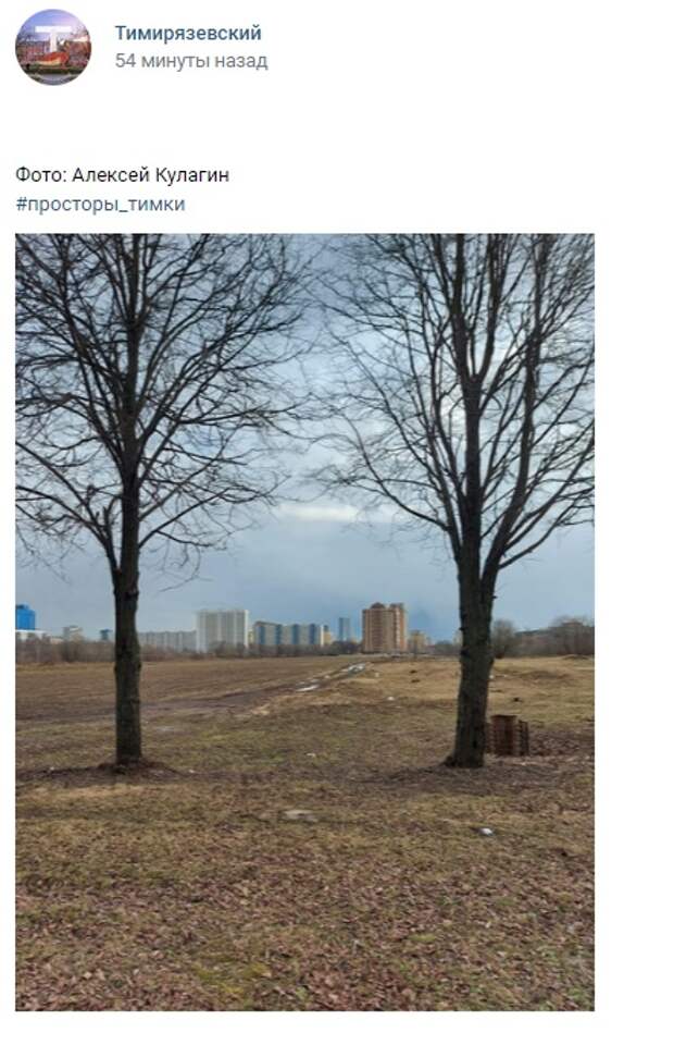 Фото дня: весна на полях Тимирязевки